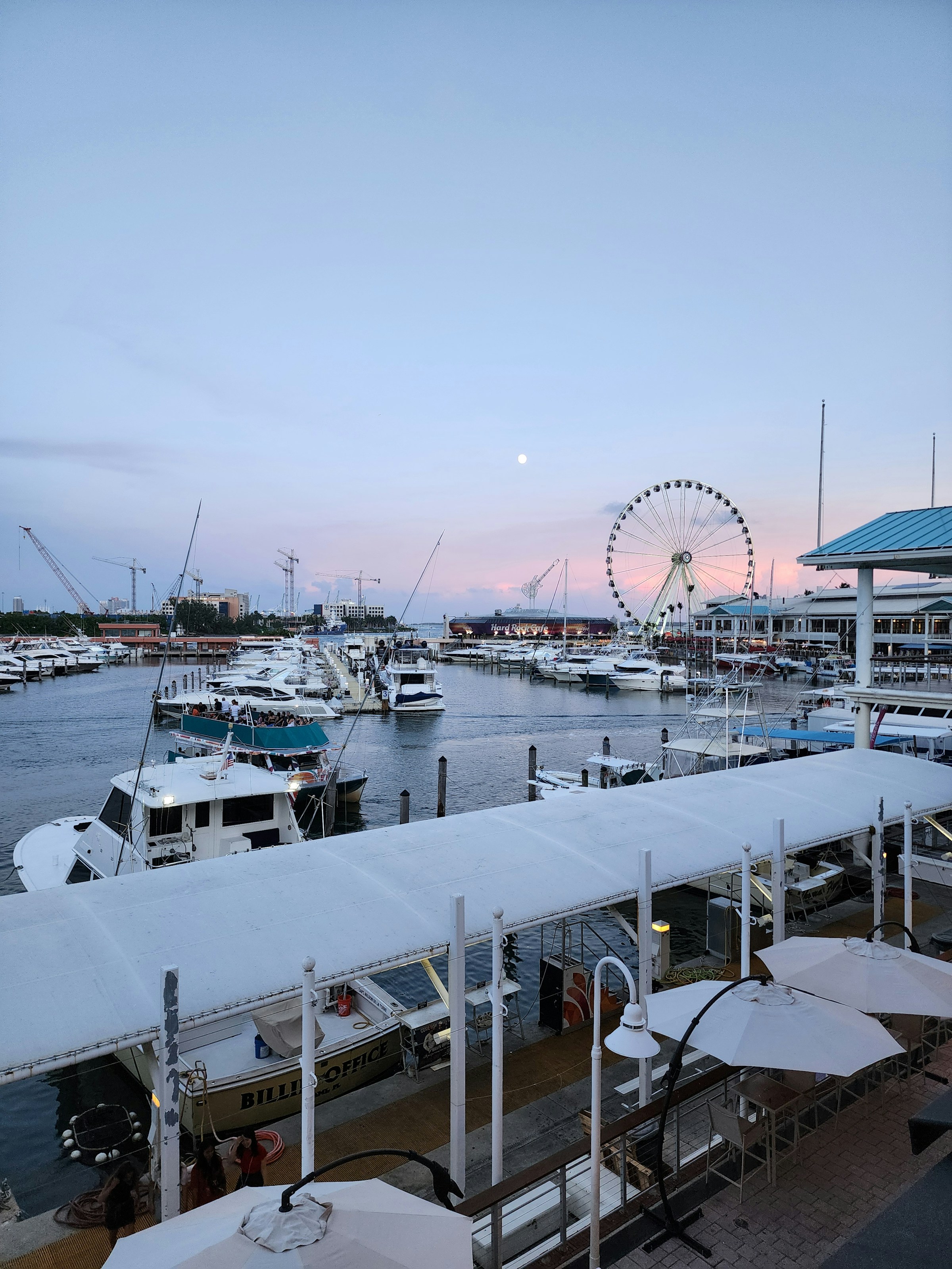 A marina with boats and a pier at dusk.